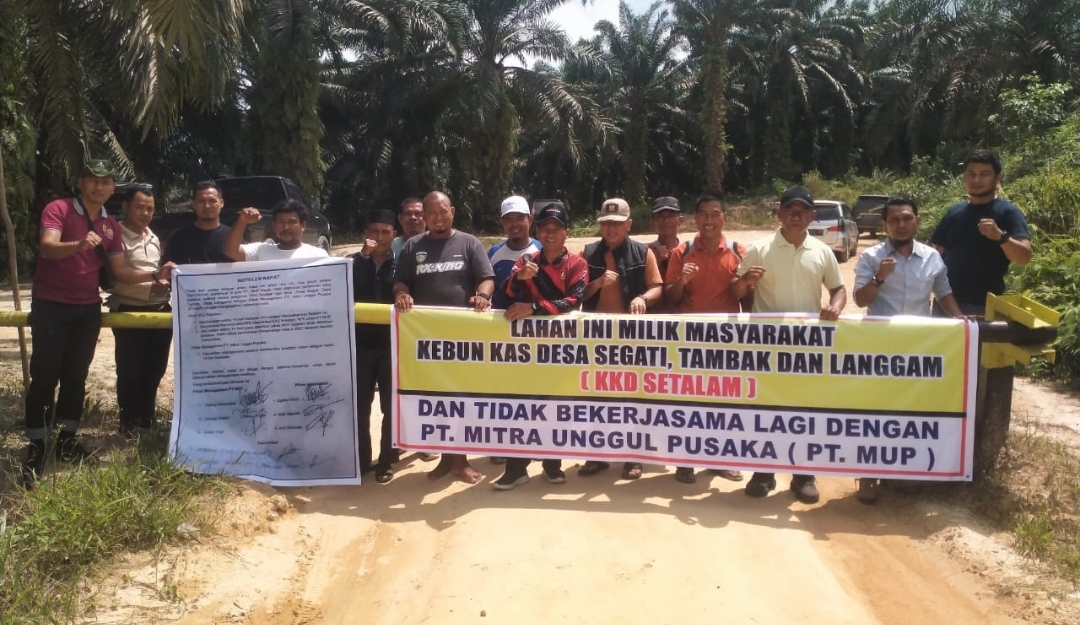 Masyarakat 3 Desa di Kecamatan Langgam Kembali Duduki Lahannya, Ancam Batalkan Kerja Sama Dengan PT MUP