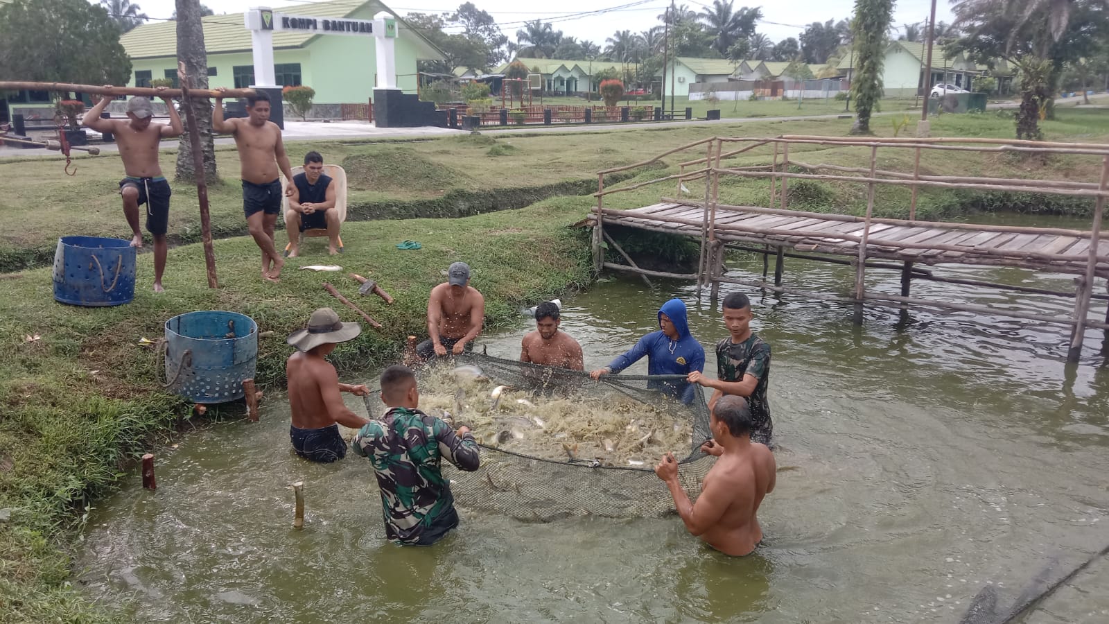 Panen Raya Ikan Patin di Yonif 132/BS, Simak Penjelasannya